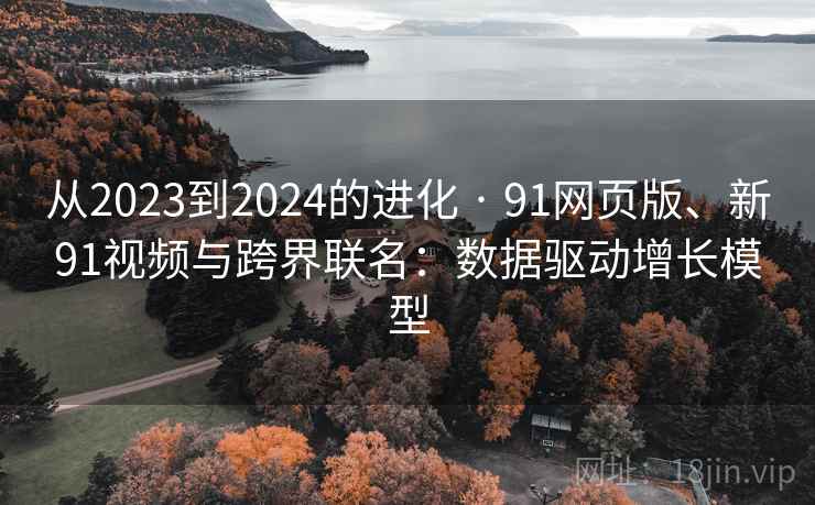 从2023到2024的进化 · 91网页版、新91视频与跨界联名：数据驱动增长模型