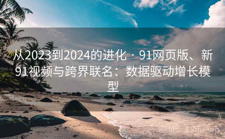 从2023到2024的进化 · 91网页版、新91视频与跨界联名：数据驱动增长模型