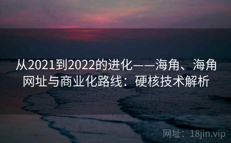 从2021到2022的进化——海角、海角网址与商业化路线：硬核技术解析