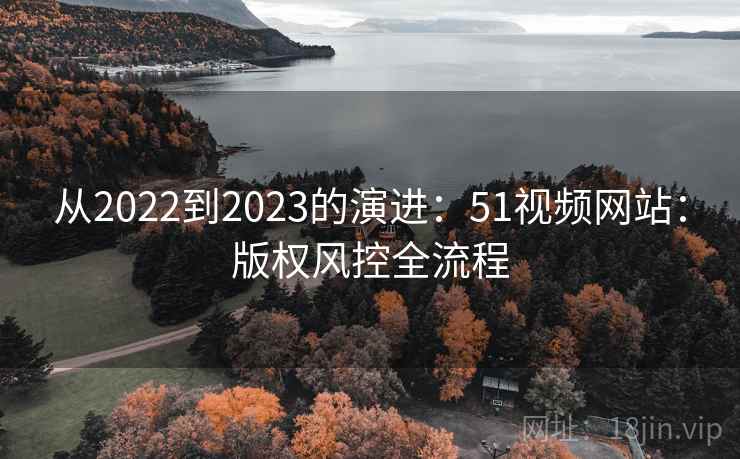 从2022到2023的演进：51视频网站：版权风控全流程