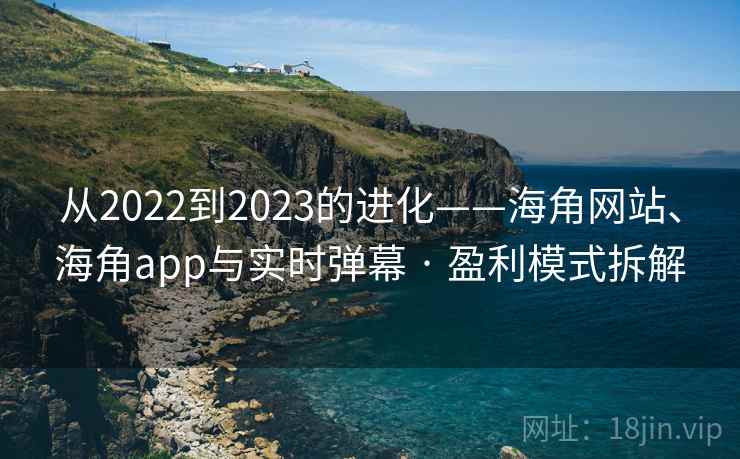 从2022到2023的进化——海角网站、海角app与实时弹幕 · 盈利模式拆解