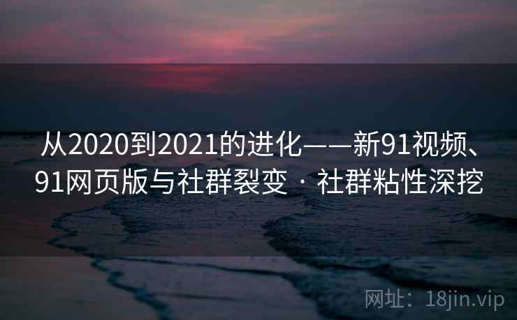 从2020到2021的进化——新91视频、91网页版与社群裂变 · 社群粘性深挖