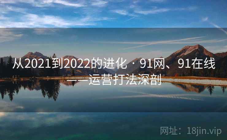 从2021到2022的进化 · 91网、91在线——运营打法深剖