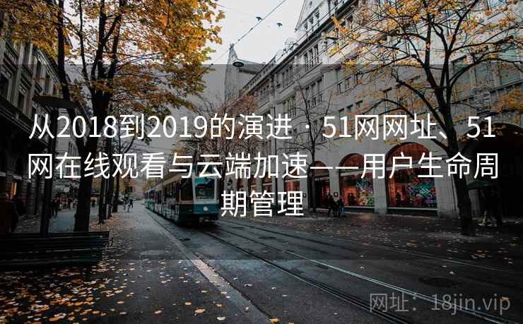 从2018到2019的演进 · 51网网址、51网在线观看与云端加速——用户生命周期管理